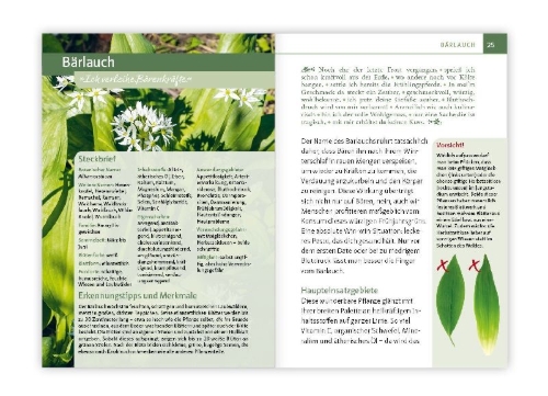 Buchcover und Innenansicht für das Buch: Essbare Heilkräuter und Wildpflanzen. Kompakt-Ratgeber
