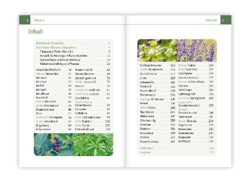 Buchcover und Innenansicht für das Buch: Essbare Heilkräuter und Wildpflanzen. Kompakt-Ratgeber