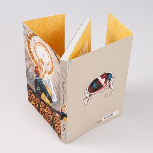 Buchcover und Innenansicht für das Buch: Veil