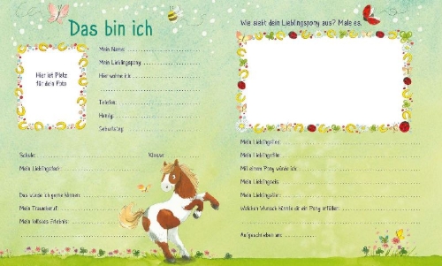 Buchcover und Innenansicht für das Buch: Meine Freunde (Ponys)