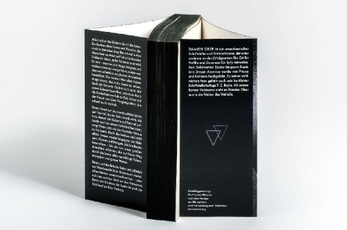 Buchcover und Innenansicht für das Buch: Voidverse