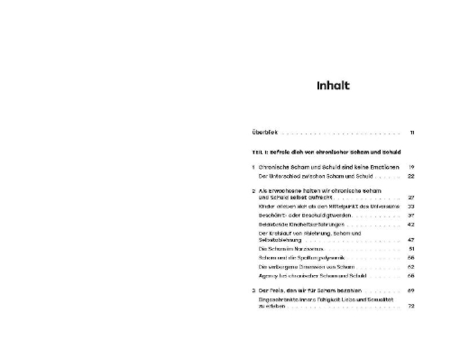 Buchcover und Innenansicht für das Buch: The NARM practical and clinical guide to freeing yourself from Chronic Shame and Guilt