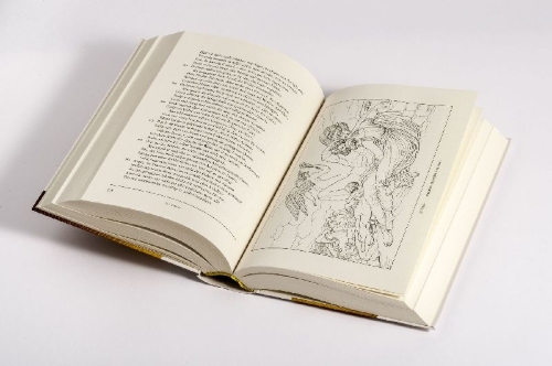 Buchcover und Innenansicht für das Buch: Ilias