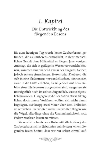 Buchcover und Innenansicht für das Buch: Quidditch through the ages