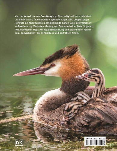 Buchcover und Innenansicht für das Buch: Heimische Vögel lebensgroß