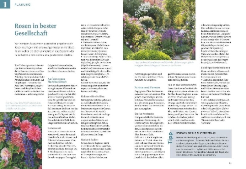 Buchcover und Innenansicht für das Buch: Rosen pflegen