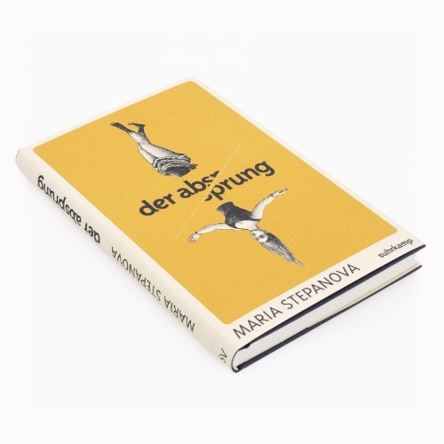 Buchcover und Innenansicht für das Buch: Der Absprung