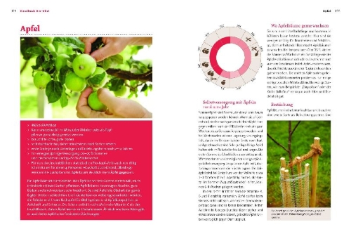 Buchcover und Innenansicht für das Buch: Handbuch Bio-Obst