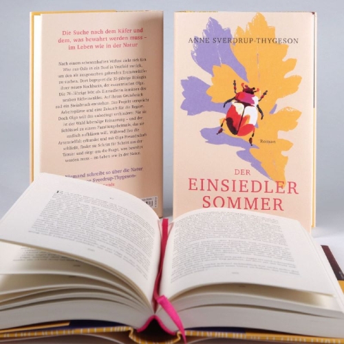 Buchcover und Innenansicht für das Buch: Der Einsiedlersommer