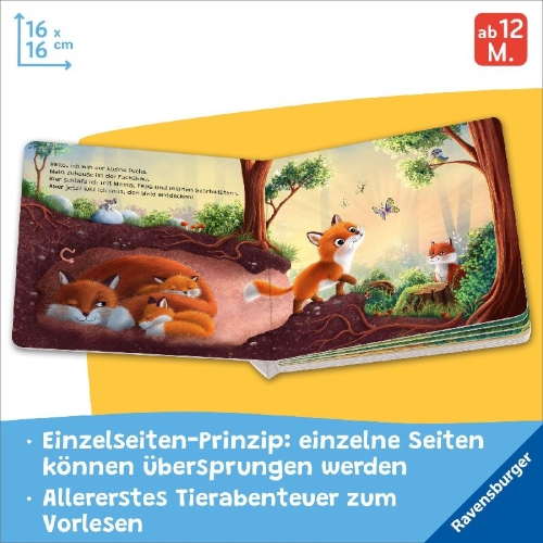 Buchcover und Innenansicht für das Buch: "Hallo, hier bin ich!", ruft der kleine Fuchs