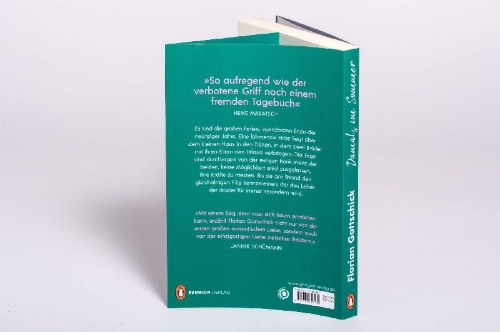 Buchcover und Innenansicht für das Buch: Damals im Sommer