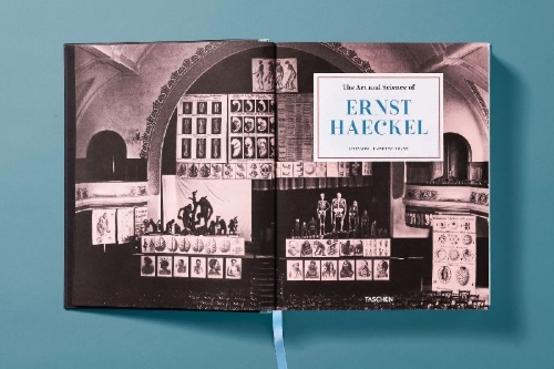 Buchcover und Innenansicht für das Buch: The Art and Science of Ernst Haeckel