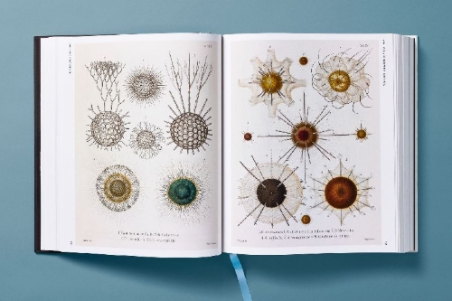 Buchcover und Innenansicht für das Buch: The Art and Science of Ernst Haeckel