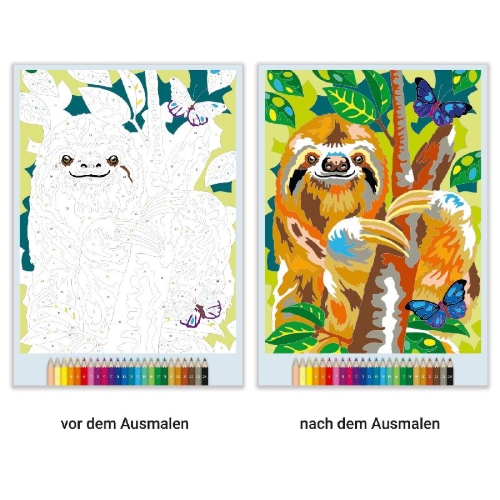 Buchcover und Innenansicht für das Buch: Malen nach Zahlen - Animal Dreams