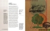 Buchcover und Innenansicht für das Buch: Philosophie in 30 Sekunden