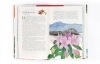 Buchcover und Innenansicht für das Buch: In 80 Pflanzen um die Welt