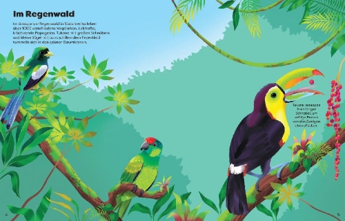 Buchcover und Innenansicht für das Buch: Die große Sticker-Tierwelt: Vögel
