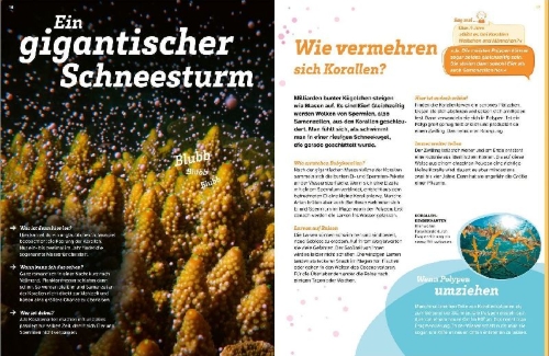 Buchcover und Innenansicht für das Buch: WAS IST WAS Korallenriff. Mitten im Gewusel