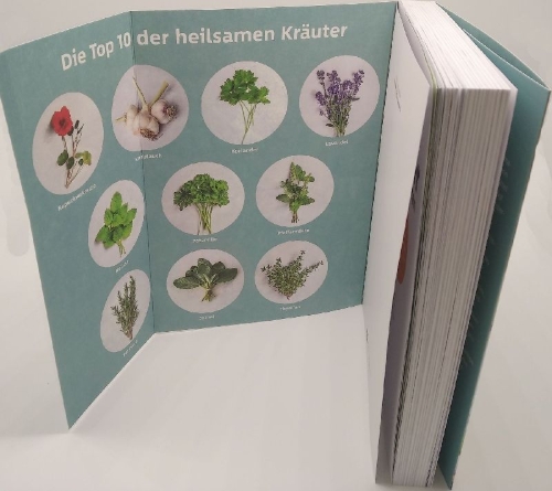 Buchcover und Innenansicht für das Buch: 10 Kräuter gegen 100 Krankheiten