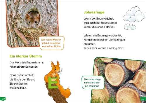 Buchcover und Innenansicht für das Buch: WAS IST WAS Erstes Lesen easy! Band 1. Entdecke die Bäume