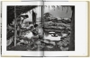 Buchcover und Innenansicht für das Buch: Sebastião Salgado. Gold