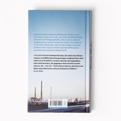 Buchcover und Innenansicht für das Buch: Streulicht