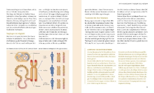 Buchcover und Innenansicht für das Buch: Mit 50 fitter als mit 30