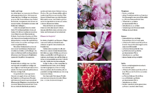 Buchcover und Innenansicht für das Buch: Nachhaltige Schnittblumen