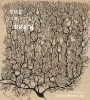 Buchcover und Innenansicht für das Buch: The Beautiful Brain