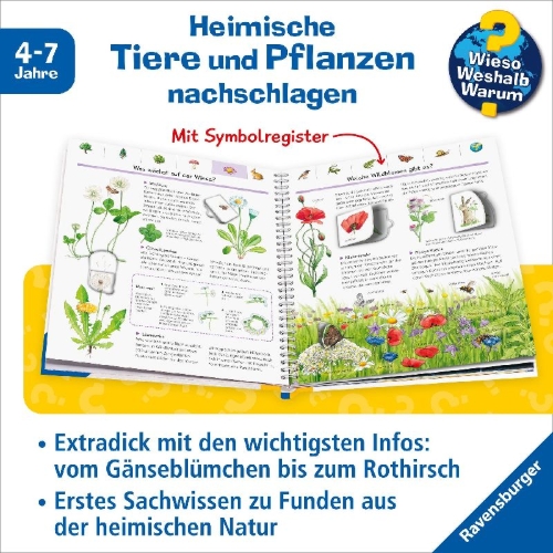 Buchcover und Innenansicht für das Buch: Wieso? Weshalb? Warum?: Mein großes Natur-Lexikon