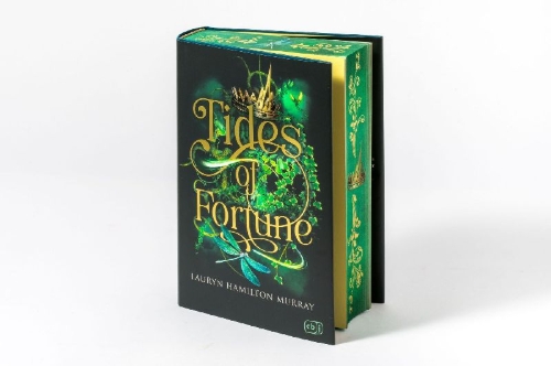 Buchcover und Innenansicht für das Buch: Heir of Storms #02 von 3