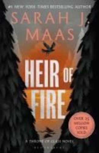 Buchcover und Innenansicht für das Buch: Heir of Fire