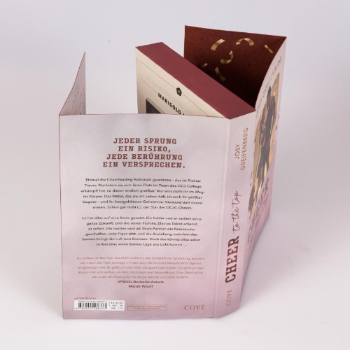 Buchcover und Innenansicht für das Buch: Cheer to the Top (Cheer 1)