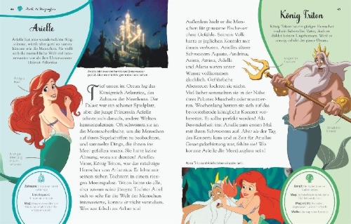 Buchcover und Innenansicht für das Buch: Disney Prinzessin: Zauberhafte Märchenwelt