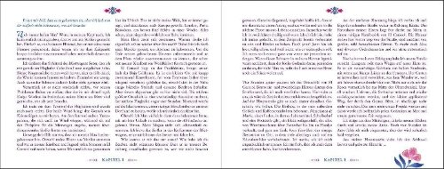 Buchcover und Innenansicht für das Buch: Summer of Mexican Mystery