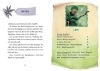 Buchcover und Innenansicht für das Buch: Ninja School (Ninja School, Bd. 1)