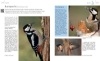 Buchcover und Innenansicht für das Buch: Vögel zu Gast im Garten - Heimische Vögel beobachten, bestimmen, schützen.