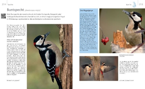 Buchcover und Innenansicht für das Buch: Vögel zu Gast im Garten - Heimische Vögel beobachten, bestimmen, schützen.