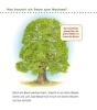 Buchcover und Innenansicht für das Buch: Unkaputtbar: Erstes Wissen: Im Wald