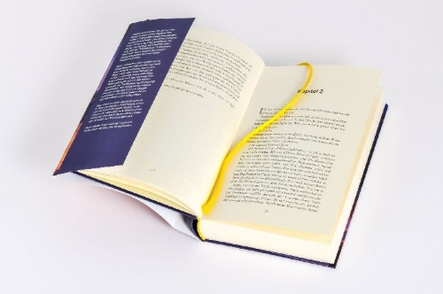 Buchcover und Innenansicht für das Buch: Die Insel meiner Schwester