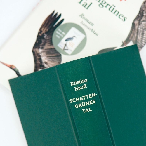 Buchcover und Innenansicht für das Buch: Schattengrünes Tal
