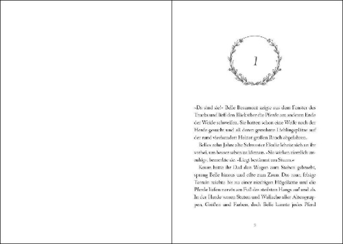 Buchcover und Innenansicht für das Buch: Silver Horse Creek - Storm Damage
