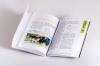 Buchcover und Innenansicht für das Buch: Nähe und Distanz in der Hundeerziehung