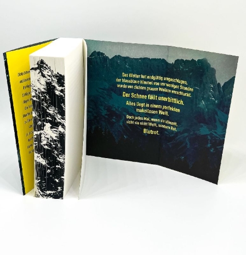 Buchcover und Innenansicht für das Buch: The Sanatorium