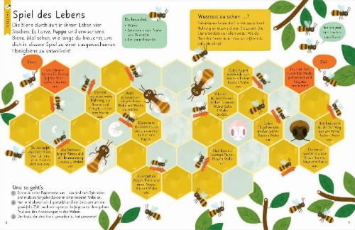 Buchcover und Innenansicht für das Buch: What on earth - Bees