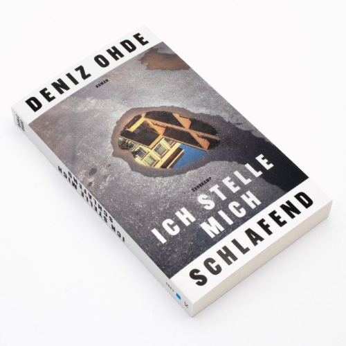 Buchcover und Innenansicht für das Buch: Ich stelle mich schlafend