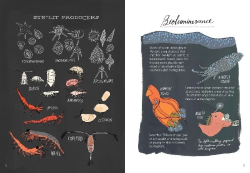 Buchcover und Innenansicht für das Buch: Ocean Anatomy