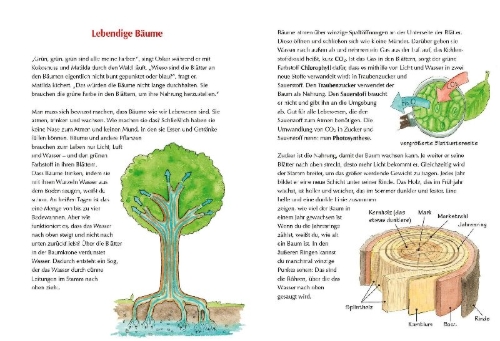 Buchcover und Innenansicht für das Buch: Der kleine Drache Kokosnuss - Mein erstes Wald-Buch