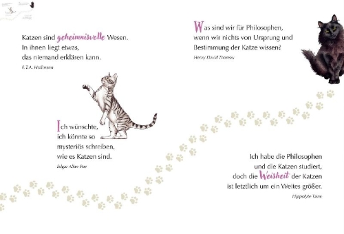 Buchcover und Innenansicht für das Buch: MIAU! - Engel auf Samtpfoten