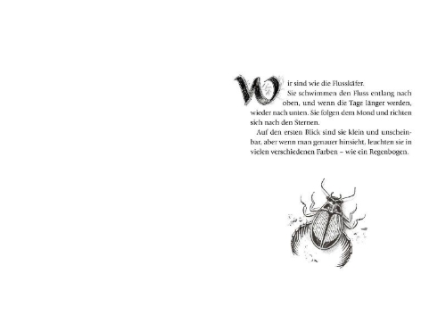 Buchcover und Innenansicht für das Buch: Wummelies wunderbare Welt, Band 05: Die Nacht der Glühwürmchen